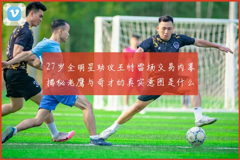 27岁全明星助攻王特雷杨交易内幕揭秘老鹰与奇才的真实意图是什么