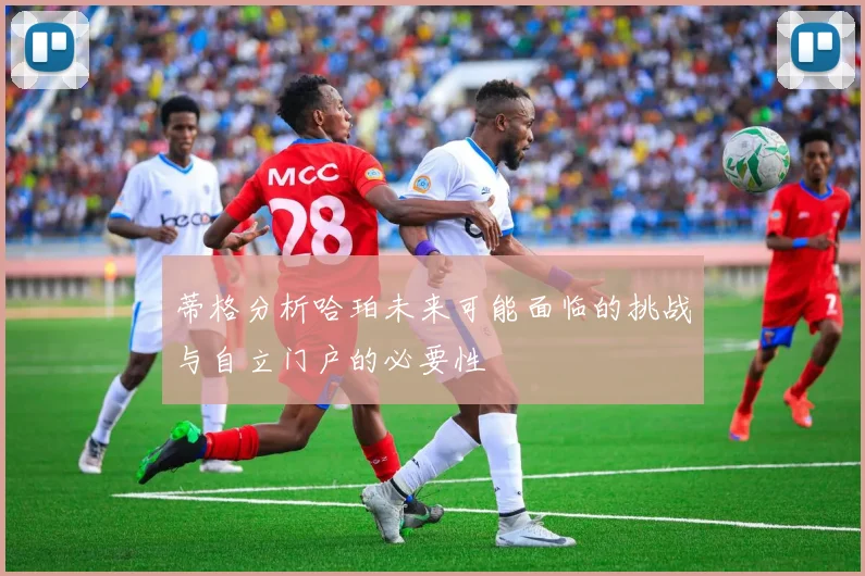 蒂格分析哈珀未来可能面临的挑战与自立门户的必要性